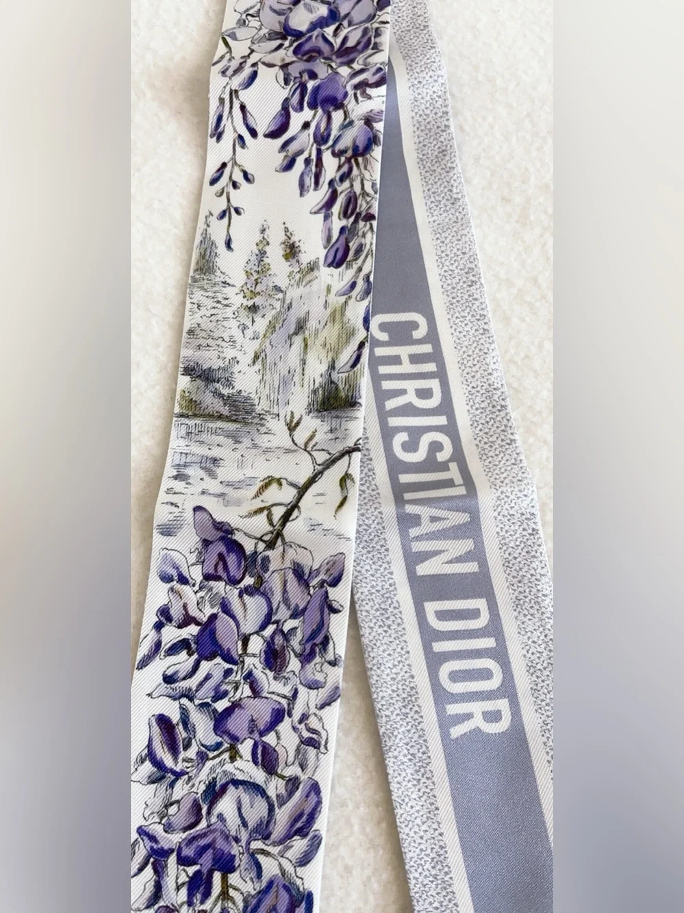 Dior Jardin  D’hiver Mitzah Silk Scarf